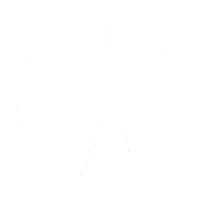 Arachnophobia Design Logo